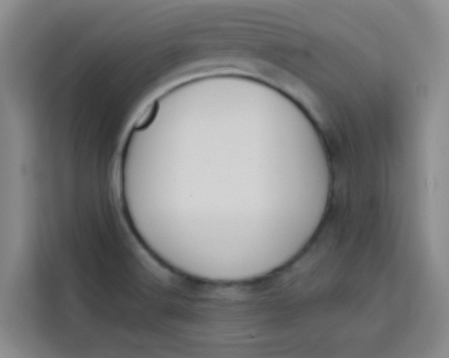 X0000113281516200910051030