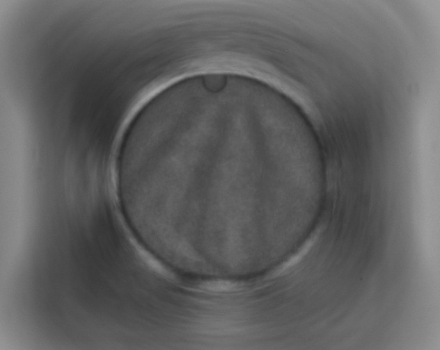 X0000113281517200910051030