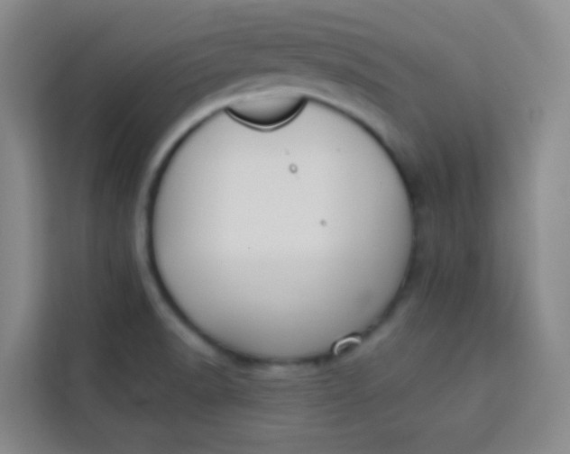 X0000113281518200910051030