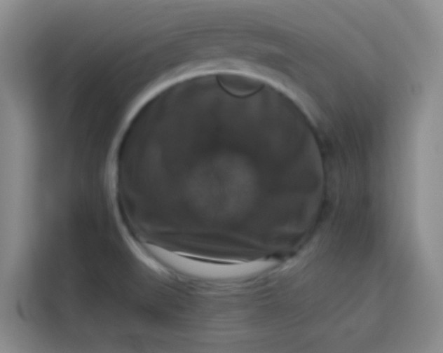 X0000113281519200910051030