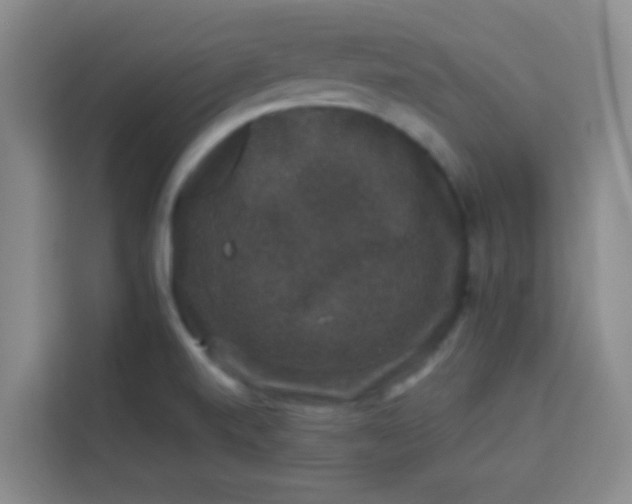 X0000113281520200910051030