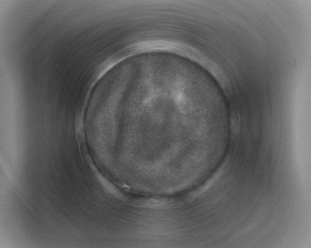 X0000113281521200910051030