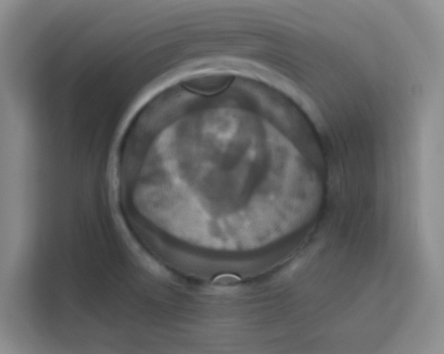 X0000113281522200910051030