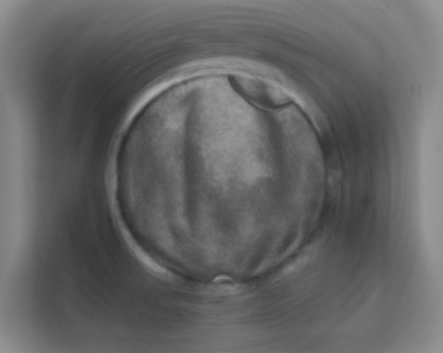 X0000113281523200910051030