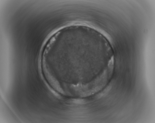 X0000113281525200910051030