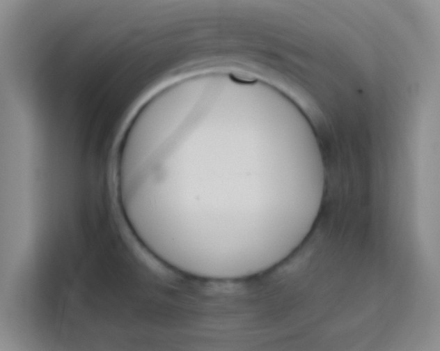 X0000113281526200910051030