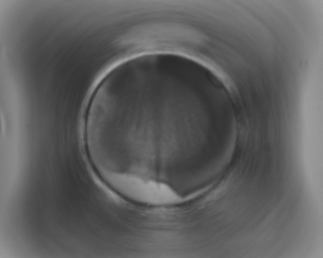 X0000113281527200910051030