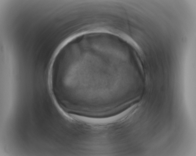 X0000113281528200910051030