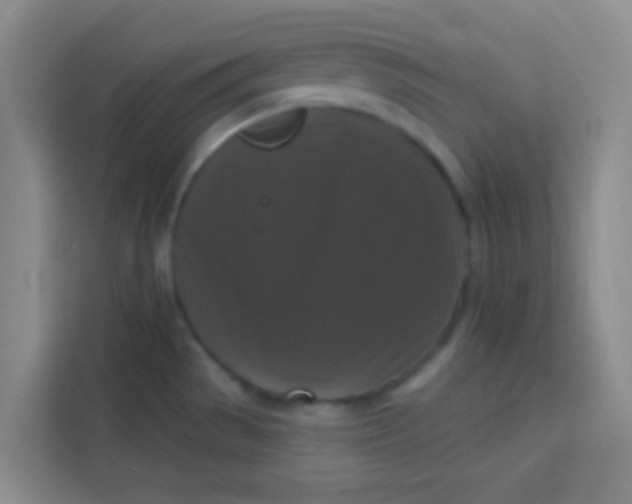 X0000113281529200910051030