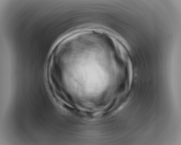 X0000113281530200910051030