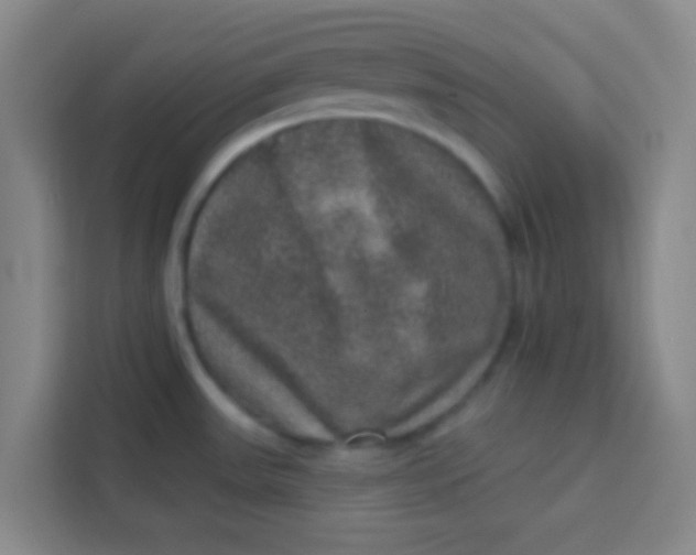 X0000113281531200910051030