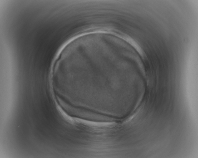 X0000113281532200910051030