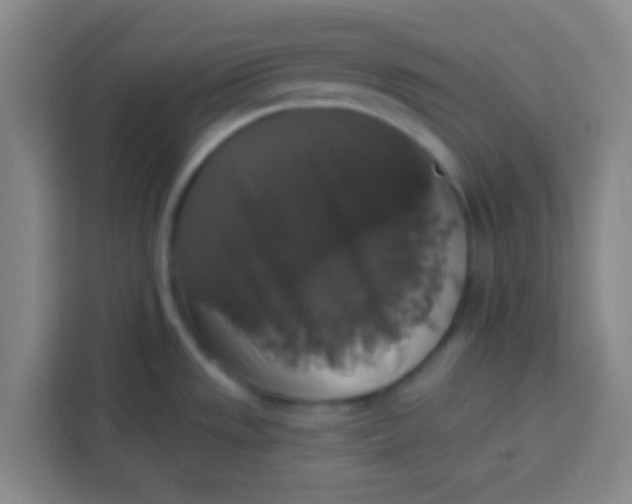 X0000113281533200910051030