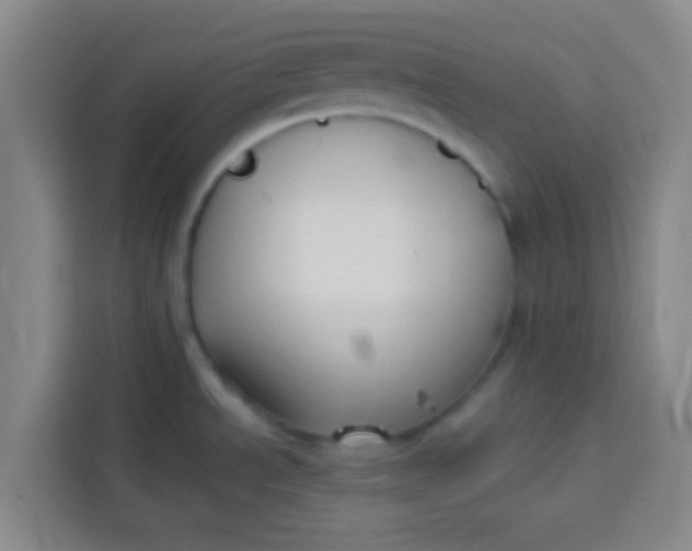 X0000113281534200910051030