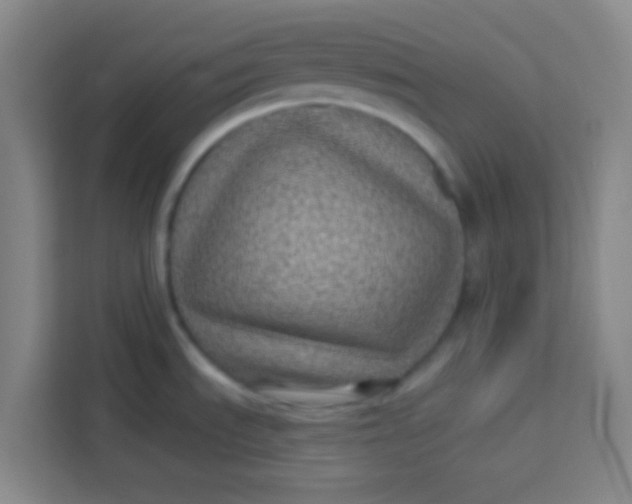 X0000113281535200910051030