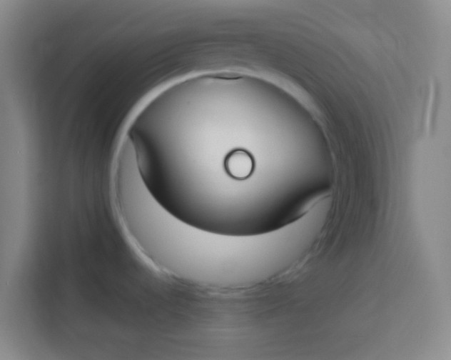 X0000113281536200910051030