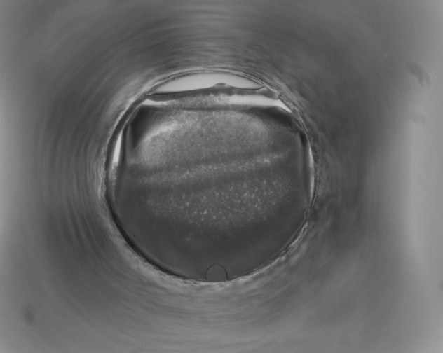 X0000113280002200910131015
