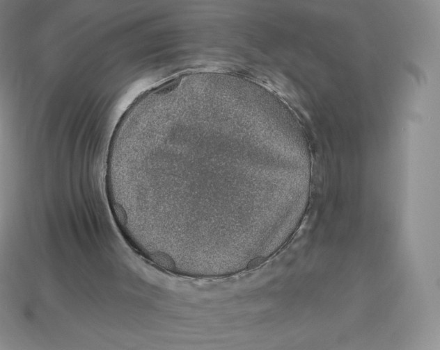 X0000113280003200910131015