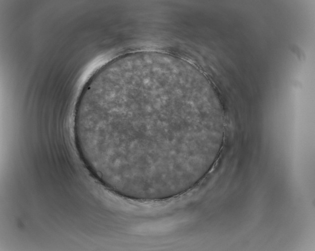 X0000113280006200910131015