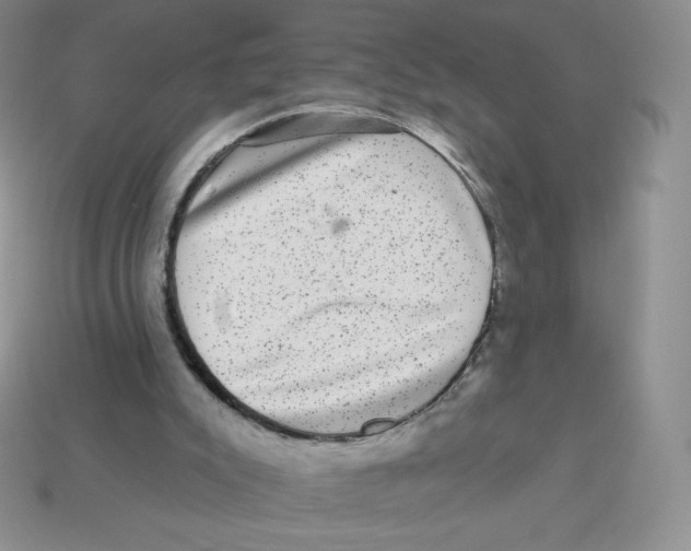 X0000113280007200910131015
