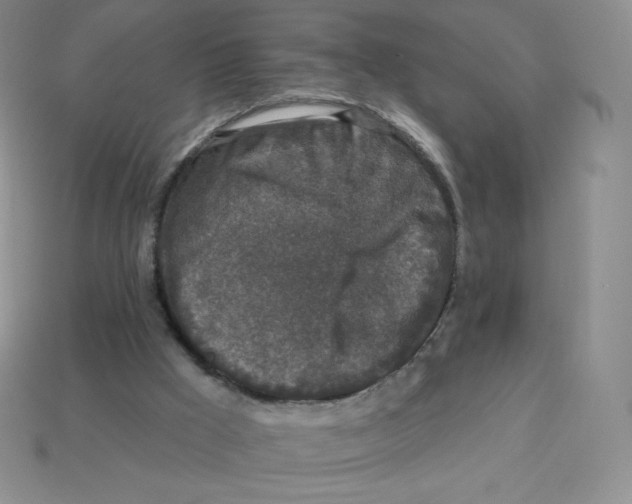 X0000113280009200910131015