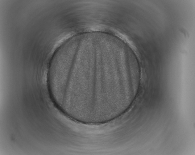 X0000113280010200910131015