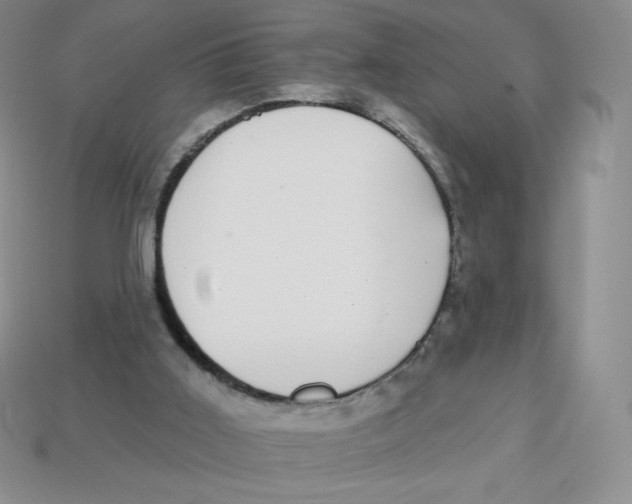 X0000113280011200910131015