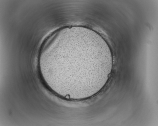 X0000113280012200910131015