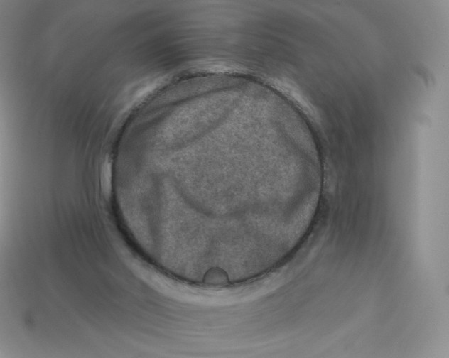 X0000113280014200910131015