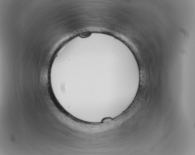 X0000113280015200910131015