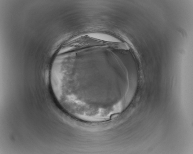 X0000113280019200910131015
