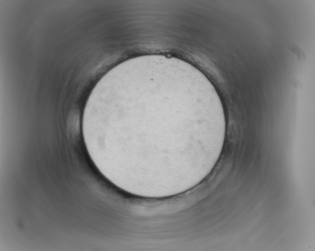 X0000113280021200910131015