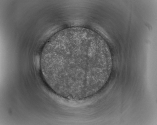 X0000113280022200910131015