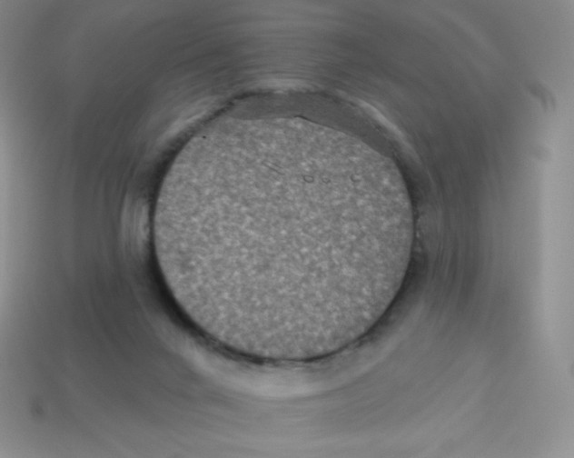 X0000113280024200910131015