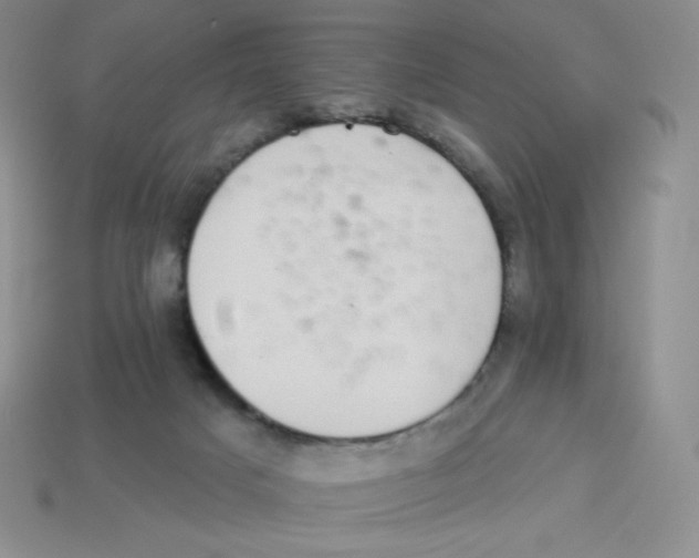 X0000113280025200910131015