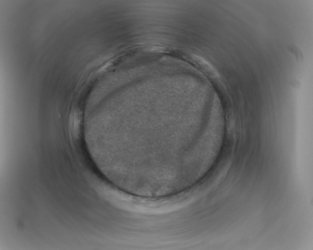 X0000113280026200910131015