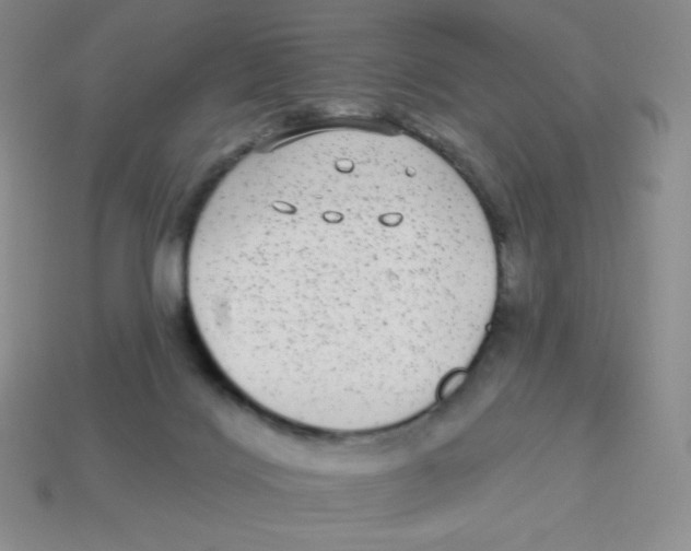 X0000113280028200910131015