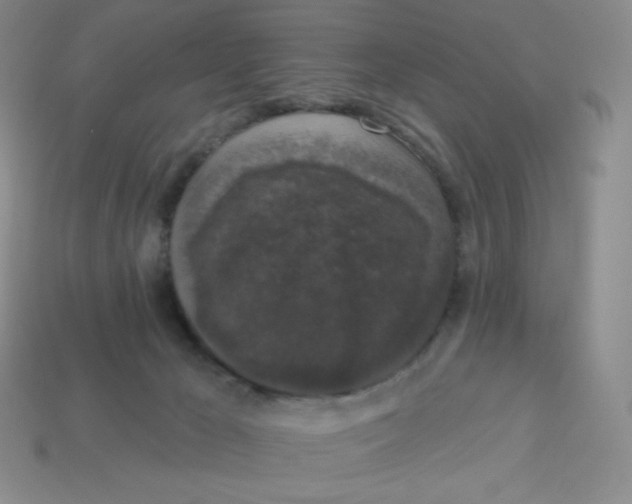 X0000113280029200910131015