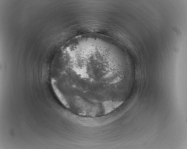 X0000113280030200910131015