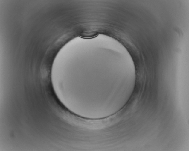 X0000113280031200910131015