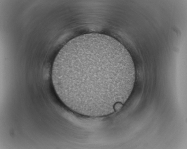X0000113280032200910131015