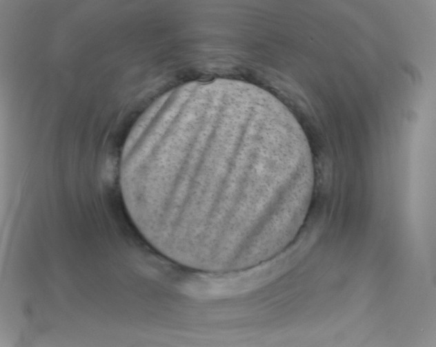 X0000113280033200910131015