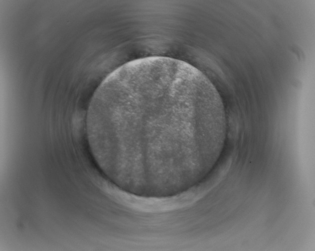 X0000113280034200910131015
