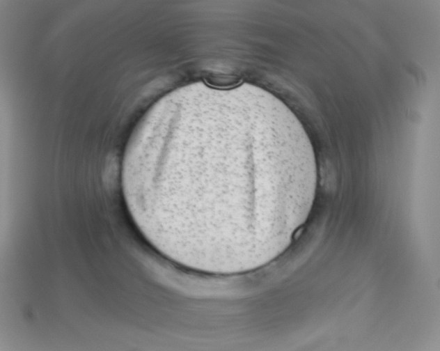 X0000113280036200910131015