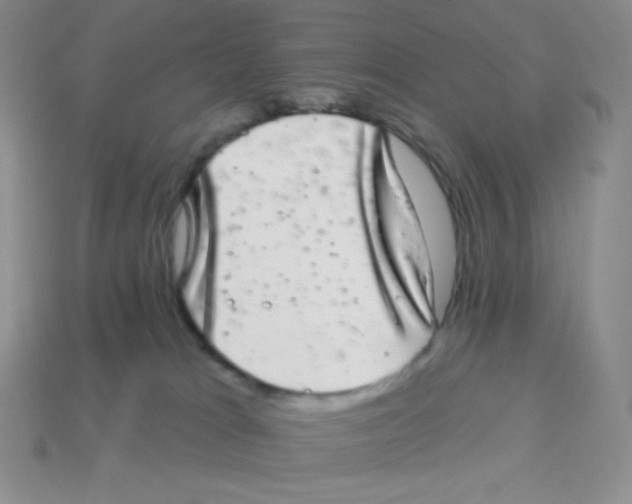 X0000113280037200910131015