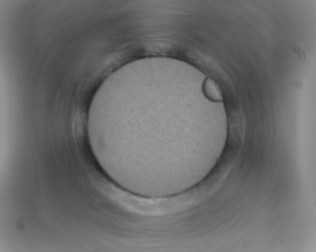 X0000113280038200910131015