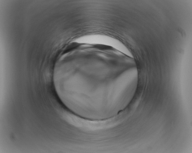 X0000113280039200910131015
