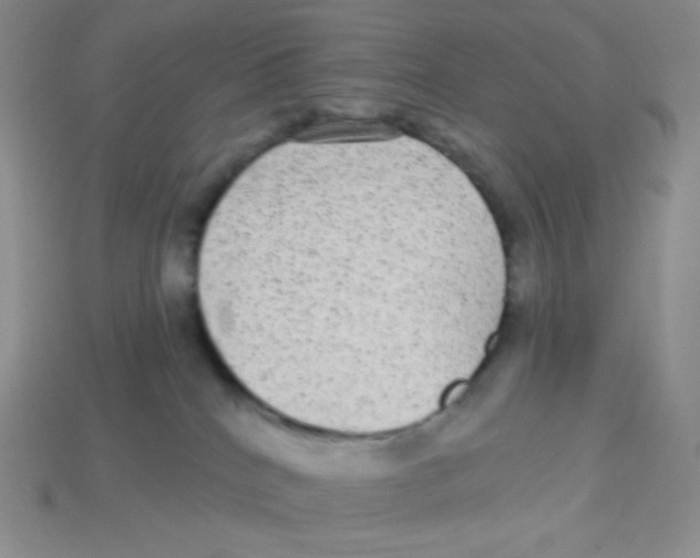 X0000113280040200910131015