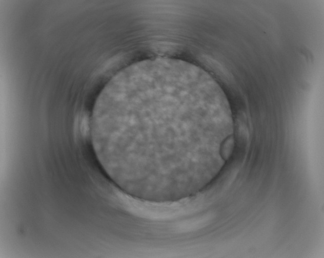 X0000113280042200910131015