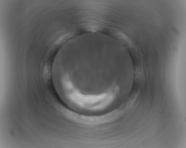 X0000113280043200910131015
